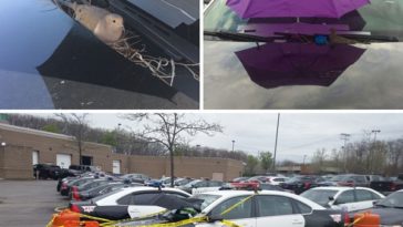 good-news-faith-in-humanity-restored-2016-89-5857e288e1d2a__700