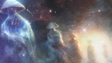 497